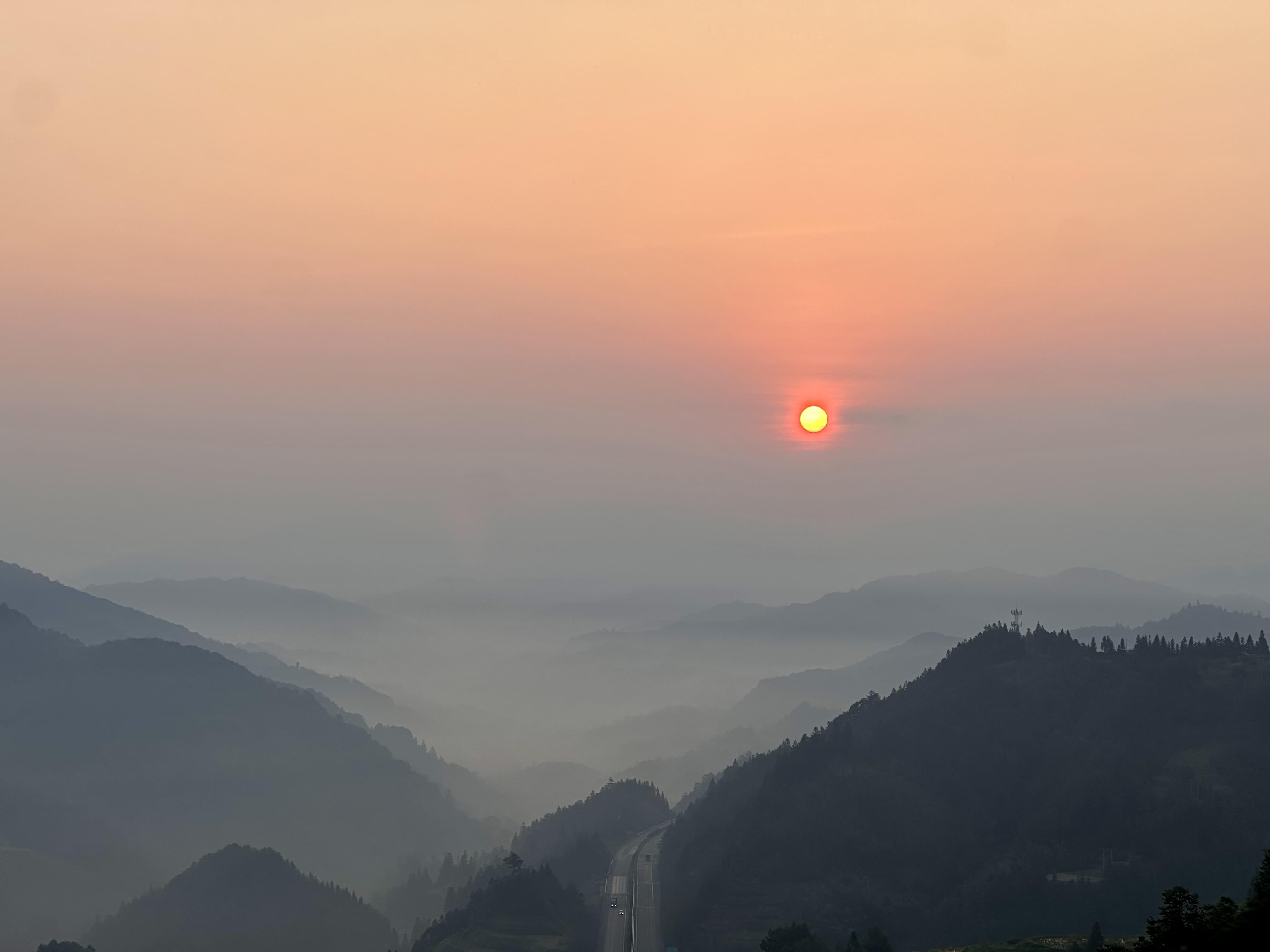 缩略图1