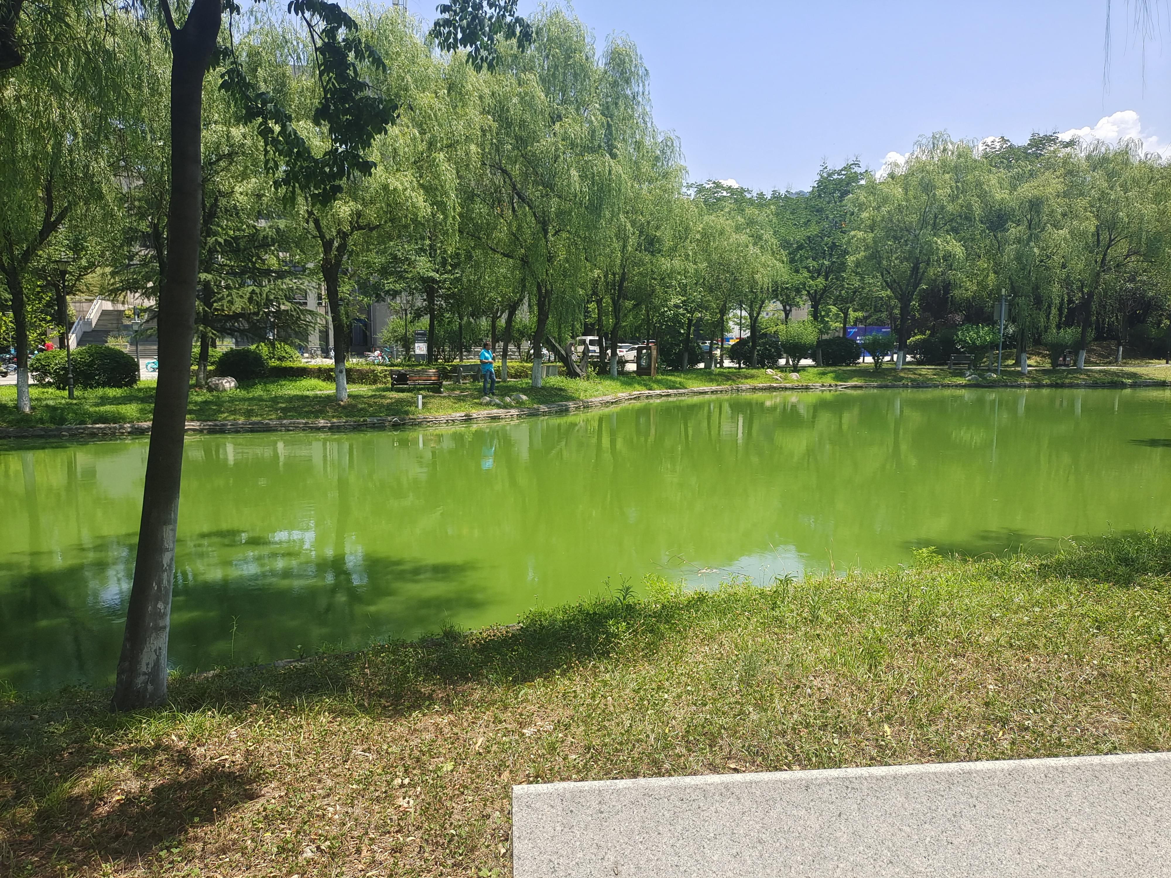 缩略图3